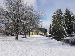 une cour enneigée avec un arbre et une maison dans l'établissement HAUS Madelaine, à Neu-Anspach