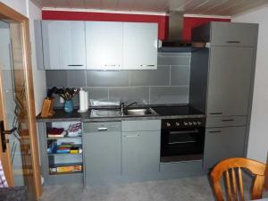 eine Küche mit einer Spüle und einem Herd Top-Backofen in der Unterkunft Ferienwohnung Kraemer in Erbach in Erbach