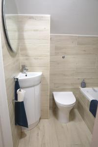 a bathroom with a white toilet and a sink at The Haven, Fishguard, ideal for Beach, coastal path and town! in Fishguard