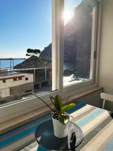 Táj Show holiday homes közelében
