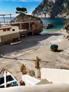 Táj Show holiday homes közelében