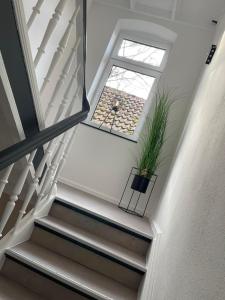 un escalier avec une fenêtre et une plante en pot dans l'établissement Ferienwohnung Obernkirchen, à Obernkirchen