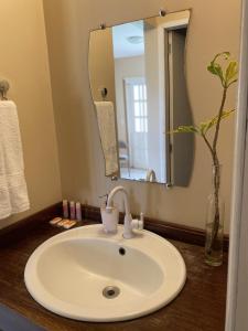 uma casa de banho com um lavatório e um espelho em Casa Bouganville em Novo Airão