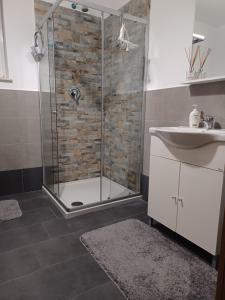 a bathroom with a shower and a sink at Green House Alba Iulia in Alba Iulia +22 photos