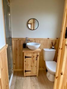 a bathroom with a sink and a toilet and a mirror at Lowgingerfield Shepherd Hut in Richmond