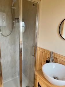a bathroom with a shower and a sink at Lowgingerfield Shepherd Hut in Richmond