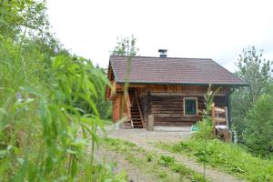 een blokhut in het bos met een pad dat daarheen leidt bij Ferienhaus Schöberlhütte 