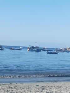 um grupo de barcos na água perto de uma praia em CasaLeon em Mejillones