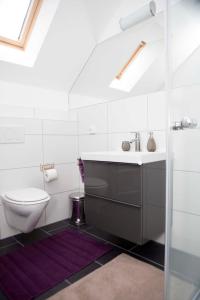 a bathroom with a sink and a toilet at Ferienwohnungen Elsbacher Hof in Erbach