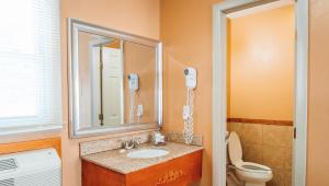 a bathroom with a sink and a toilet and a mirror at Quiet Corner Inn in Brooklyn +59 photos