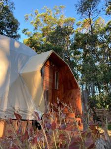 una pequeña casa de madera con una tienda junto a los árboles en Domo en la playa, en Sauce de Portezuelo