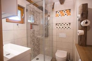 a bathroom with a shower and a toilet and a sink at Holiday home in Sentvid pri Sticni - Zentralslowenien 43927 in Šentvid pri Stični