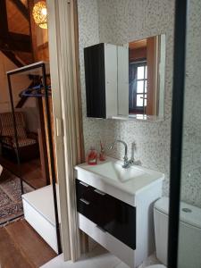y baño con lavabo, aseo y espejo. en Casa da Dine - Cama & Café, en Campos do Jordão