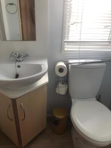 a bathroom with a white toilet and a sink at Albatross at Cleethorpes Pearl in Cleethorpes