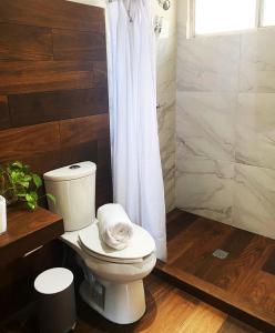ein Badezimmer mit einem weißen WC und einer Dusche in der Unterkunft Casa Magnolia 2 in Ciudad Madero