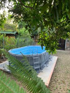 a swimming pool with a chair in a garden at Hostal Casa Jocolate Minca in Minca