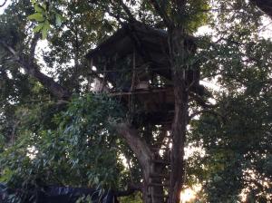 Mynd úr myndasafni af Sigiri Nisala Villa í Sigiriya