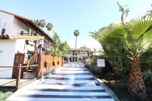 a walkway in front of a building with palm trees at Haley Hotel in Santa Barbara