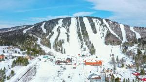 una montaña cubierta de nieve con una estación de esquí. en Le Chal'heureux, ski & spa, ski-in ski-out en Val-Brillant