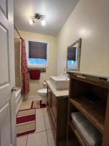 La salle de bains est pourvue d'un lavabo, de toilettes et d'un miroir. dans l'établissement Le Chal'heureux, ski & spa, ski-in ski-out, à Val-Brillant