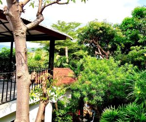 a tree in front of a building with trees at Cinnamon Beach Villas in Lamai