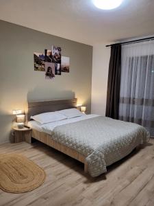 een slaapkamer met een groot bed en een raam bij Casa Krista in Bran