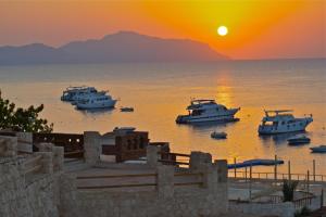 a group of boats in the water at sunset at Umbi Sharks Bay Diving Village in Sharm El Sheikh