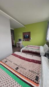 2 camas en una habitación con paredes verdes en Swallow homestay, en Taitung
