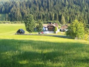 un gran campo de hierba con una casa y árboles en Ferienhaus 2, en Auberg