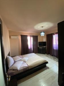 a bedroom with a large bed and a television at Penthouse City Centre in Iaşi