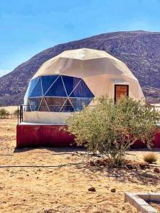 a dome tent in the middle of the desert at Adel rum camp bubbles in Wadi Rum