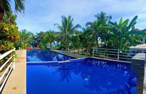 a large blue swimming pool with palm trees in the background at Panglao Kalikasan Resort in Panglao Island