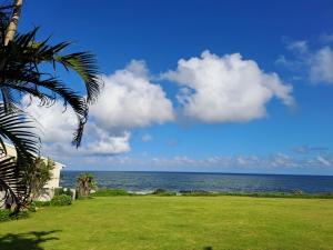 a view of the ocean and a palm tree at 10 Seaverge in Port Edward