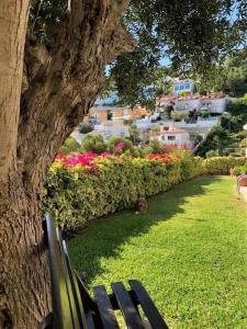A garden outside Villa Sitges Julia Vista Espectacular 2 k m s de la Playa Comoda & Area Tranquila Amplitud interior y plana