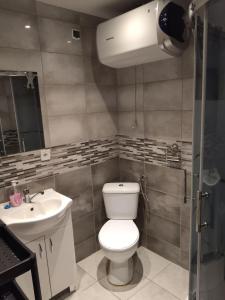 a bathroom with a toilet and a sink at Apartamenty Dominik in Wiele +23 photos