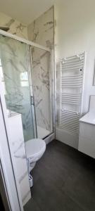een badkamer met een toilet, een douche en een wastafel bij Vittel Studio neuf en Centre-ville idéal curiste in Vittel