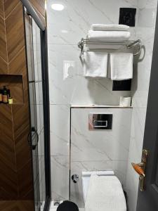 ein Bad mit einer Dusche, einem WC und Handtüchern in der Unterkunft Blue Tuana Hotel in Istanbul