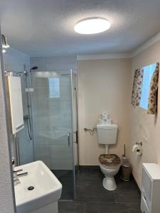 a bathroom with a shower and a toilet and a sink at Kleine Ahornau in Schladming