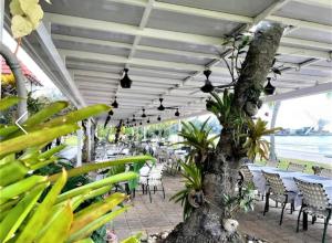 an outdoor patio with chairs and tables and a tree at Tanjung Tuan Beach Regency - Hermis Theme in Kampong Baharu