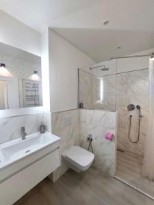 Un baño con lavabo, ducha e inodoro. en G&W на Коцюбинського, en Vínnytsia