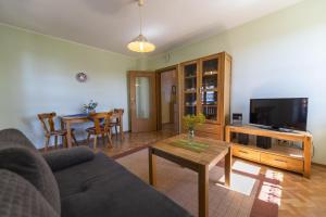 - un salon avec un canapé, une télévision et une table dans l'établissement Pension Ferienwohnungen Frey, à Tännesberg