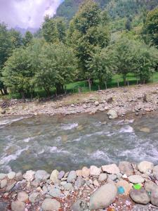 a river with rocks and trees in the background at Grand Heritage Resort in Pahalgām