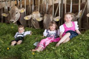 Afbeelding uit fotogalerij van Ferienhof Bayrhof in Roßhaupten +14 foto's