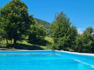 a large swimming pool with trees in the background at Agriturismo Baita Bavè in San Fedele Superiore