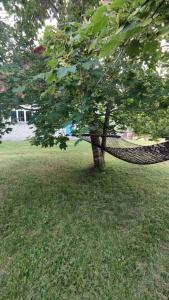 a hammock hanging from a tree in a yard at Mökki Kainula in Veteli