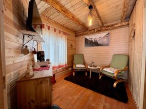 彼得羅沙尼的住宿－Chalet Nomad，小屋内的房间,配有两把椅子和一张桌子