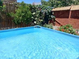 a large blue swimming pool in a yard at El pimiento Horcon valle elqui, 4 personas in La Serena