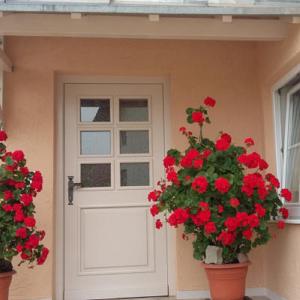 a door with red flowers in front of a house at Appartementhaus Scholz in Egglfing