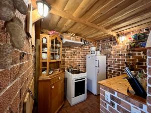 a kitchen with a stove and a refrigerator at Chalet Nomad in Petroşani