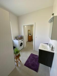 ランナッハにあるHaus Lannachbergのシンクと洗濯機付きのキッチン +21枚の写真